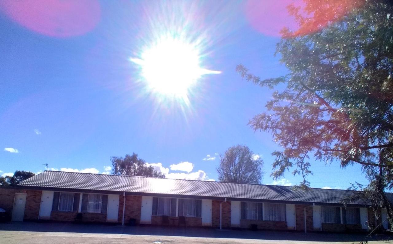Allonville Gardens Motel Wagga Wagga Exterior foto