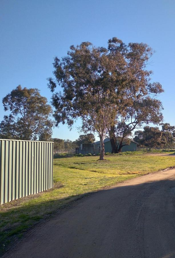 Allonville Gardens Motel Wagga Wagga Exterior foto