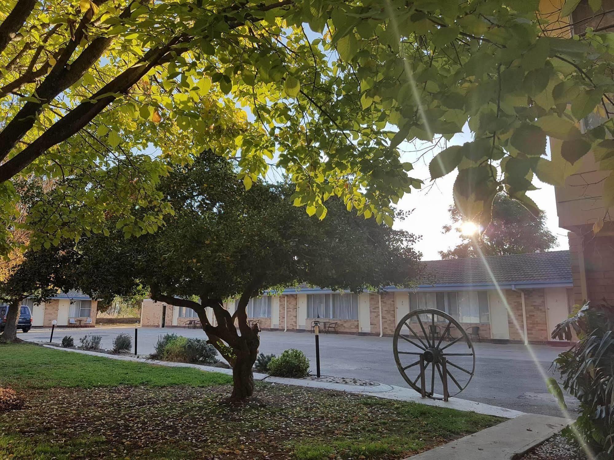 Allonville Gardens Motel Wagga Wagga Exterior foto