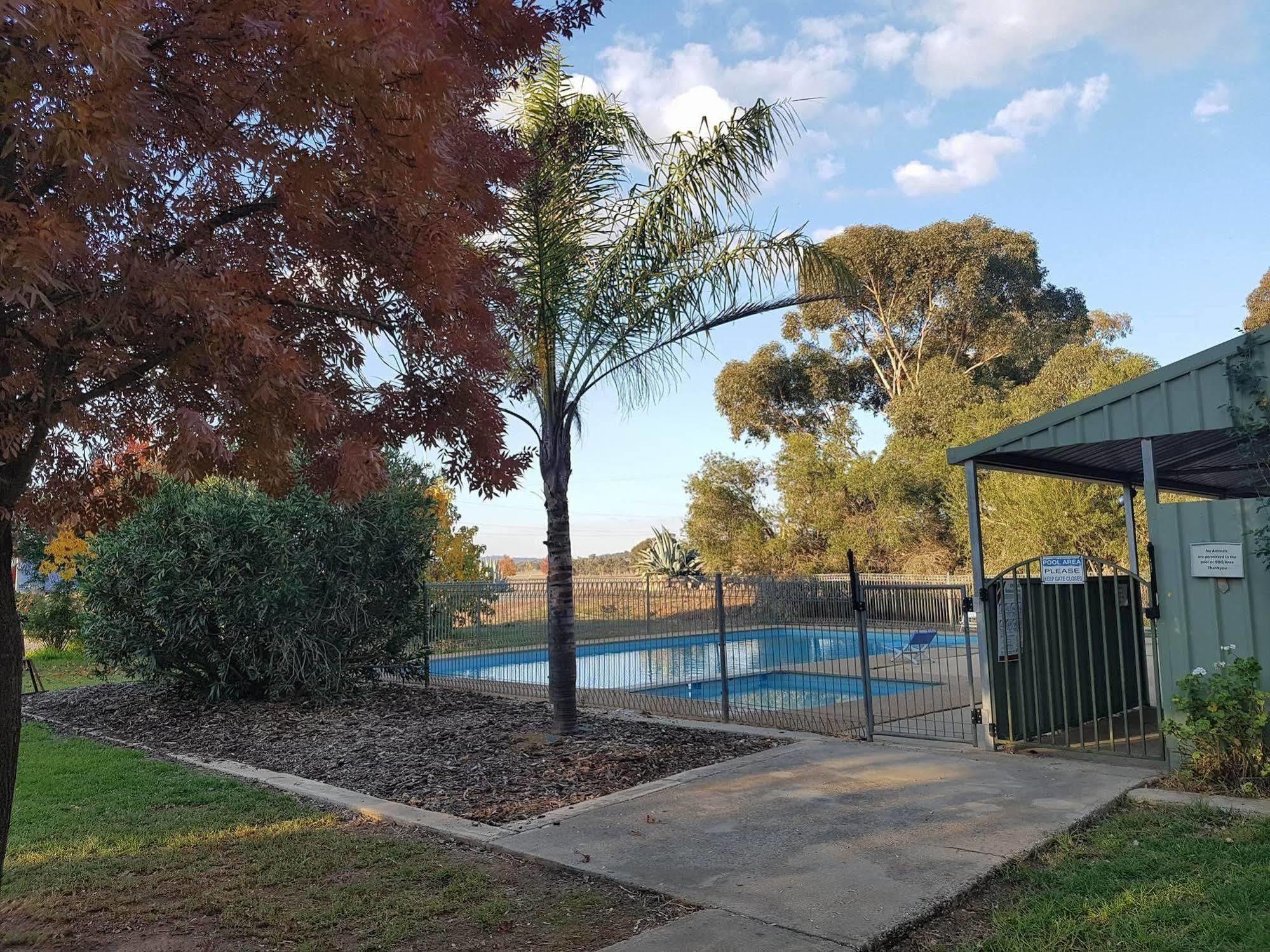 Allonville Gardens Motel Wagga Wagga Exterior foto